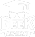 GEEK ACADEMYBRANCO
